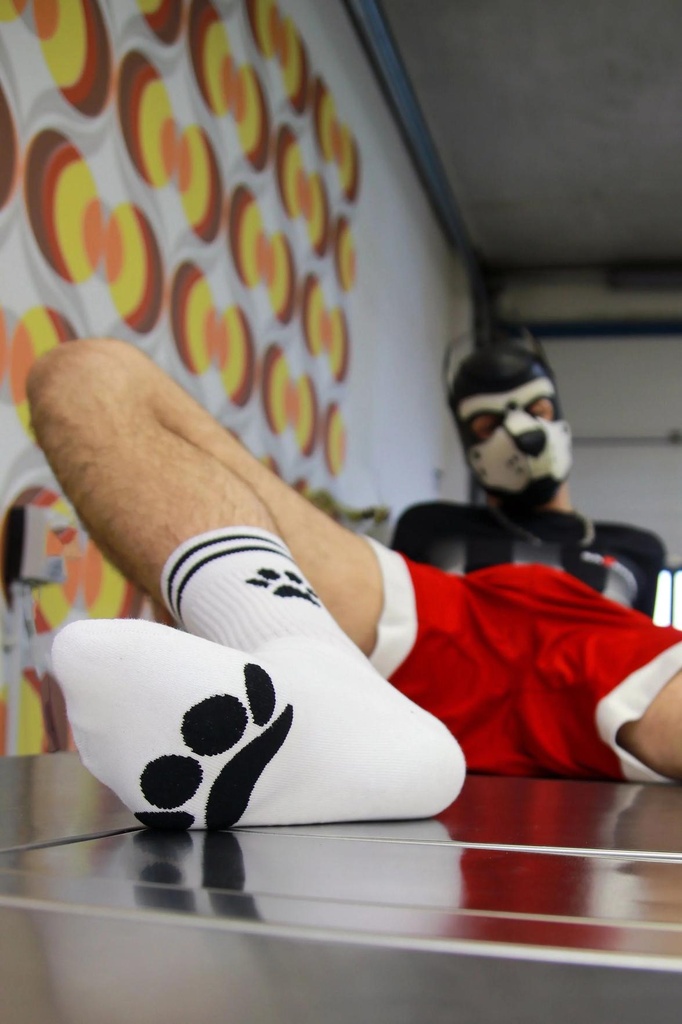 Sk8erboy® PUPPY Strumpor vita (39-42)