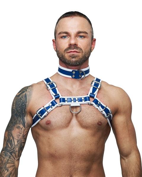 [604301] Mister B Leather Circuit Collar Blue-White