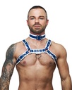 Mister B Leather Circuit Collar Blue-White