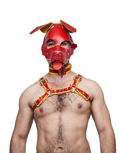 Mister B Leather Floppy Dog Hood Circuit – Rød-Gul
