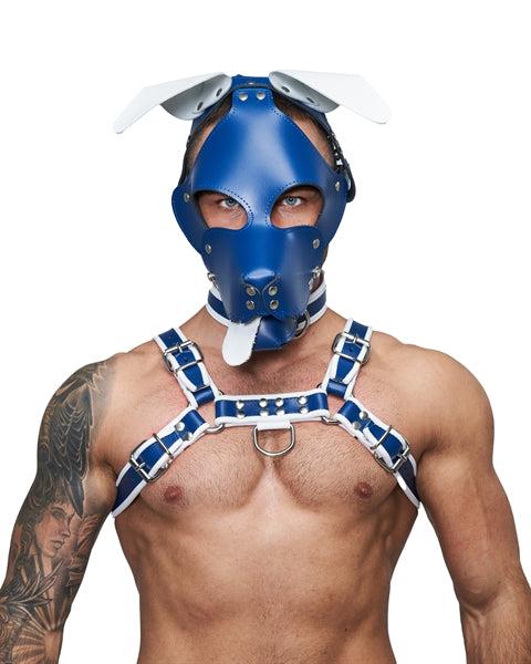 Mister B Leather Floppy Dog Hood Circuit – Blå-Hvid