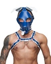 Mister B Leather Floppy Dog Hood Circuit – Blue-White