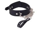 Biothane Slave Collar med Snor
